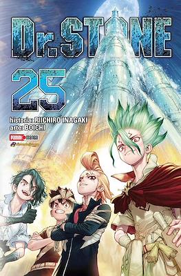 Dr. Stone 25