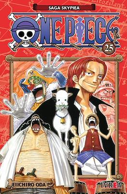 One piece 25