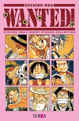 One Piece Wanted