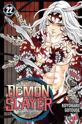 Demon Slayer (Kimetsu no Yaiba) 22