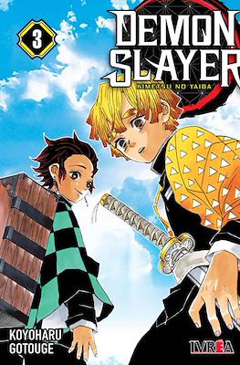 Demon Slayer (Kimetsu no Yaiba) 03